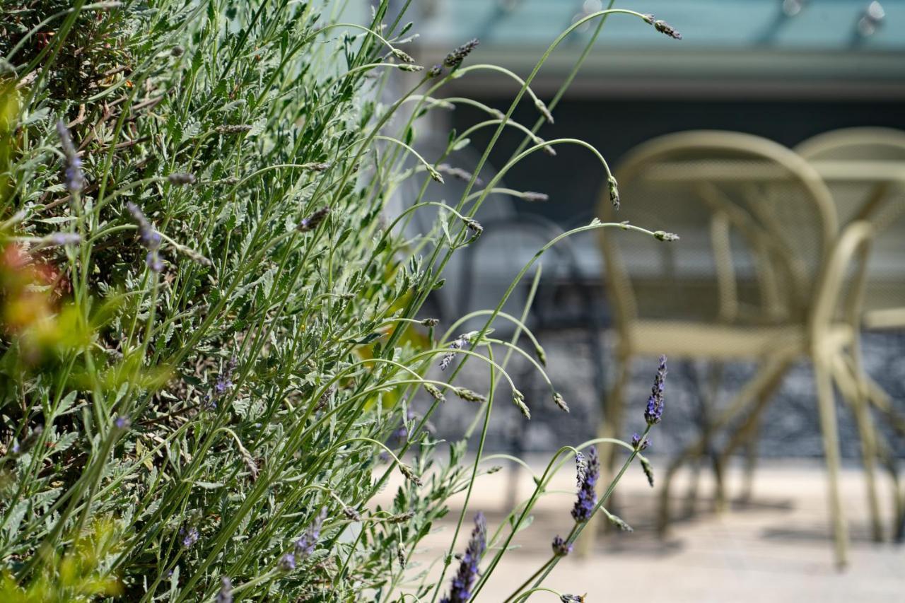 Edem Luxury Apartments Nea Peramos  Exterior photo